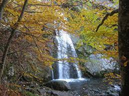 cascate della ravezza, parco dell'aveto