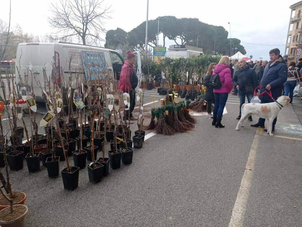 Fiera di Sant'Antonio, Chiavari