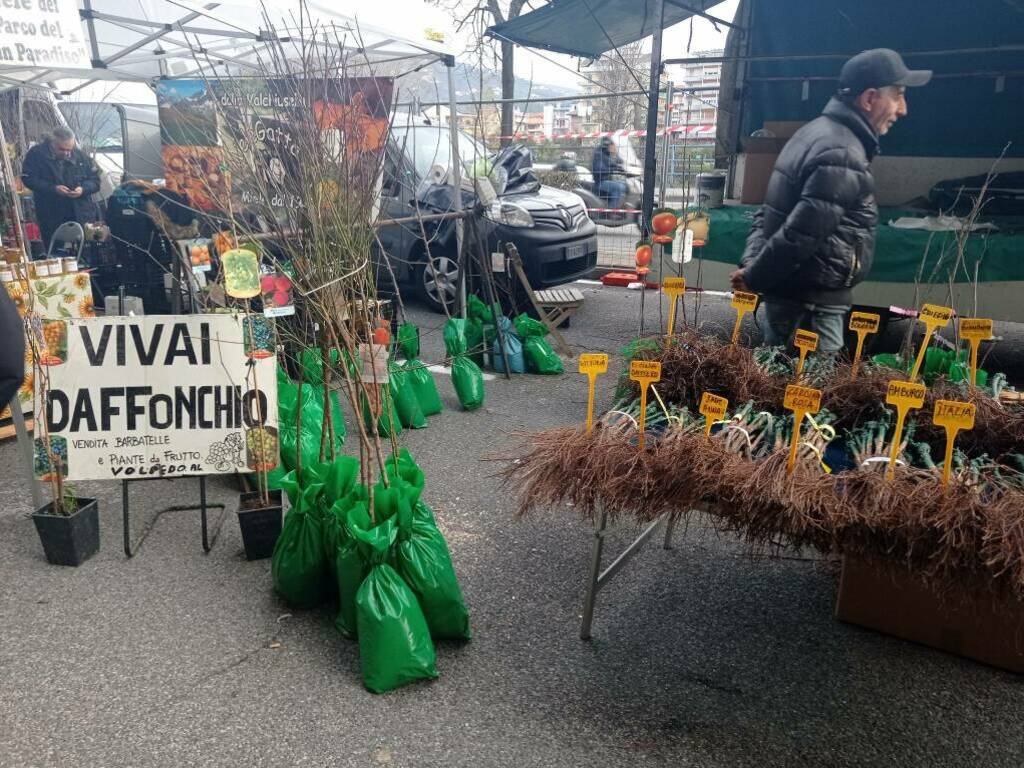 Fiera di Sant'Antonio, Chiavari