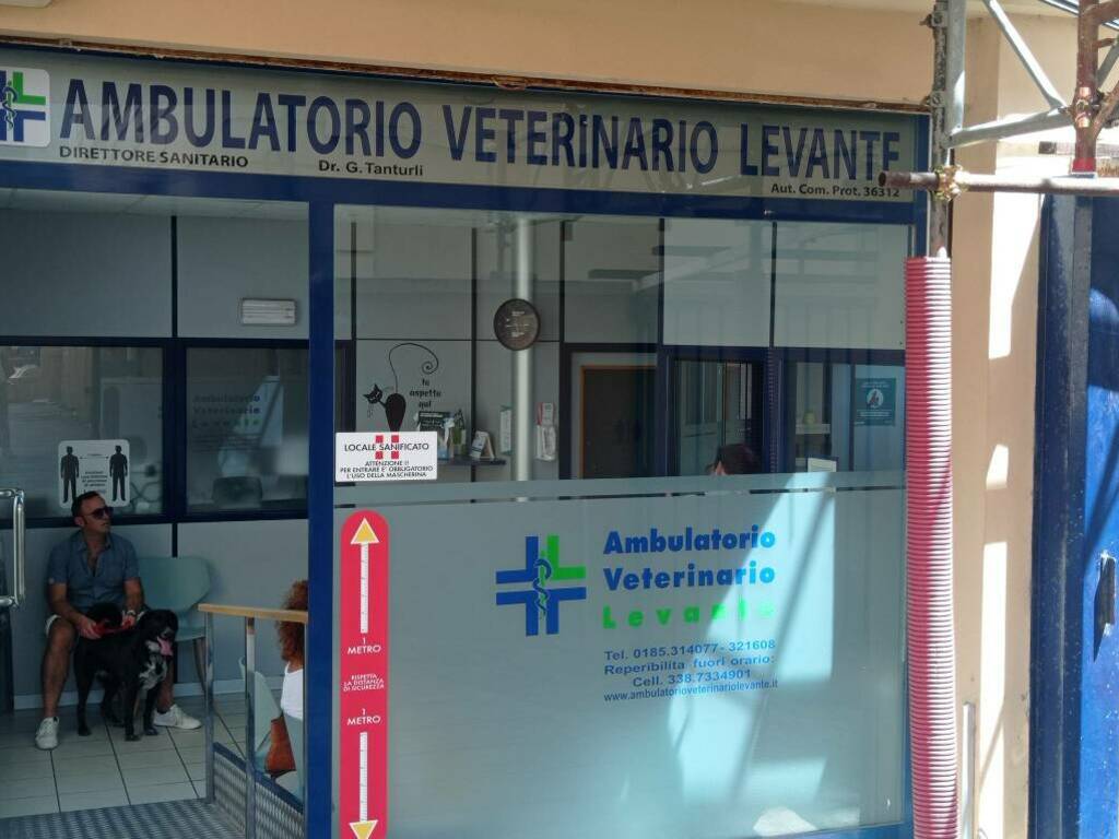 cani, costo mantenimento cane, veterinario, alimentazione cane, ambulatorio veterinario Levante, dottor Tanturli 