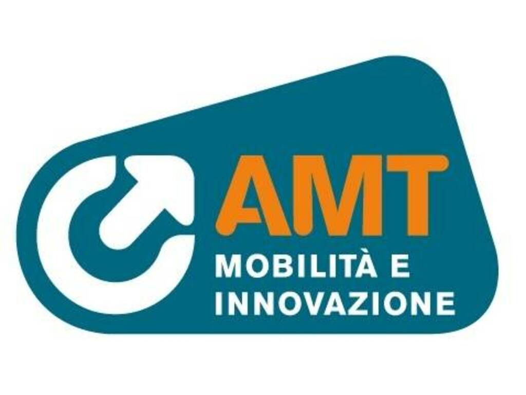 Logo Amt